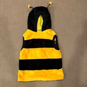 EUC - bee costume